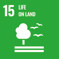 sdgs6