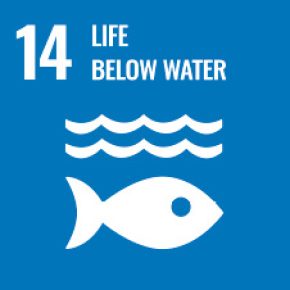 sdgs1